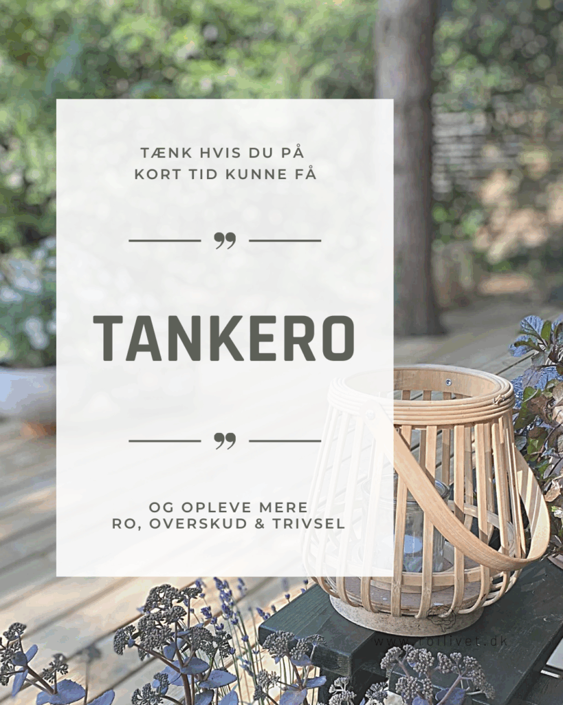 Tankero den metakognitive samtale Ro i livet Lotte Oldrup metakognitiv terapeut